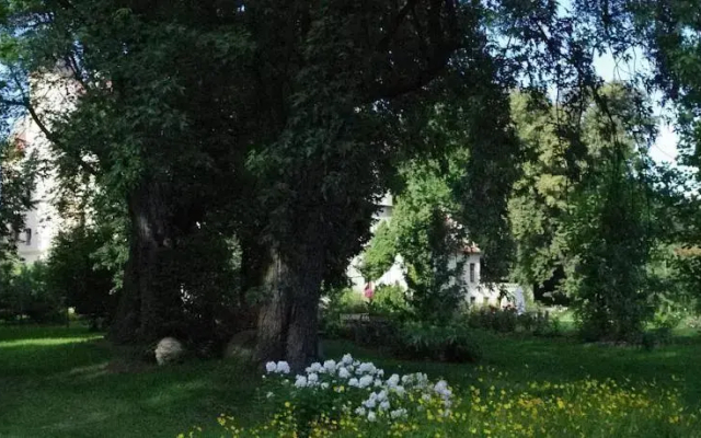 Zamek w Czernej