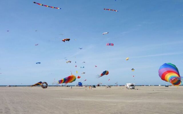 "Vasilij" - 2.5km from the sea in Western Jutland