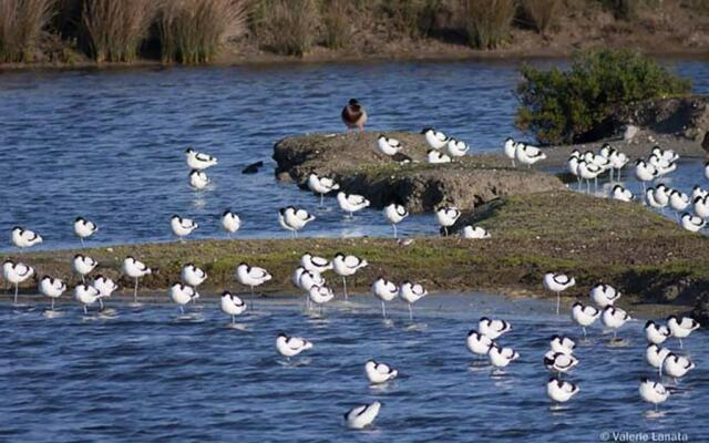 Le cachet d’une maison de centre-bourg à Beauvoir-sur-Mer