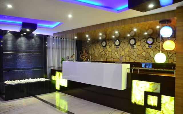 Dolphin Chocolate Inn