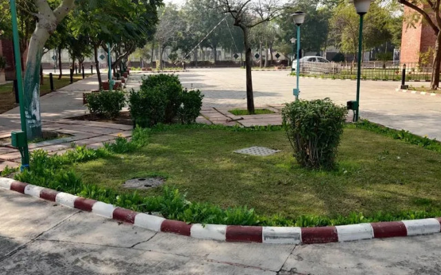 YMCA Greens