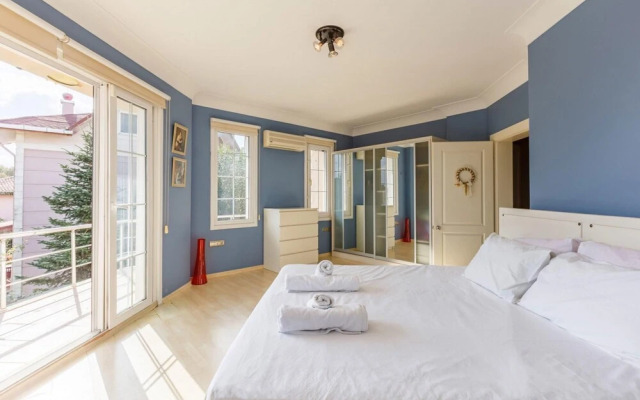 Charming Villa With Pool and Garden in Gebze