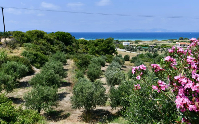 Summer View Hotel