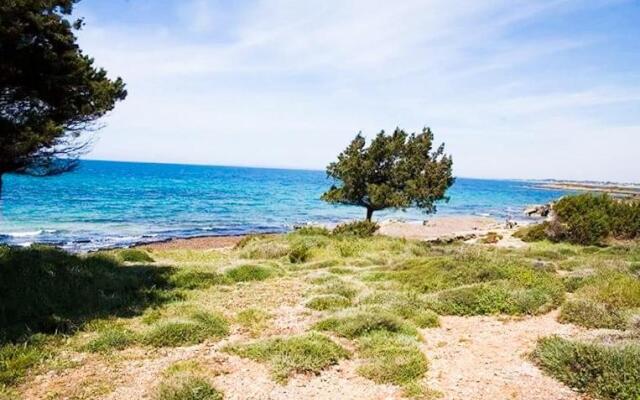A house between Ancient Olympia and the Ionian Sea