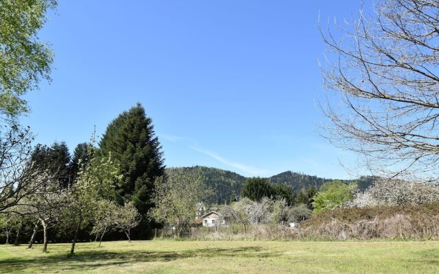 Spacious Holiday Home With Sauna in Celles-sur-plaine