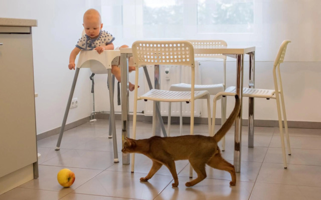 Spa Druskininkai Apartment