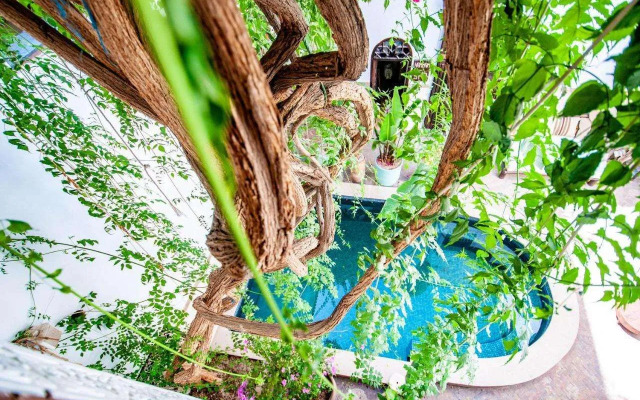 Hôtel & Spa Riad Dar El Aïla