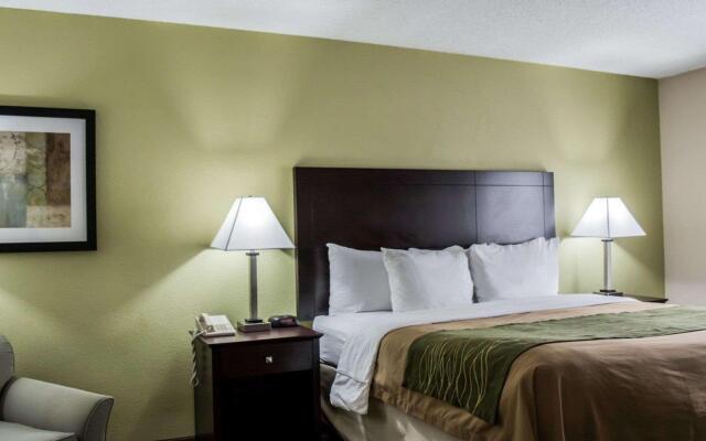 Comfort Inn & Suites St. Pete - Clearwater International Airport