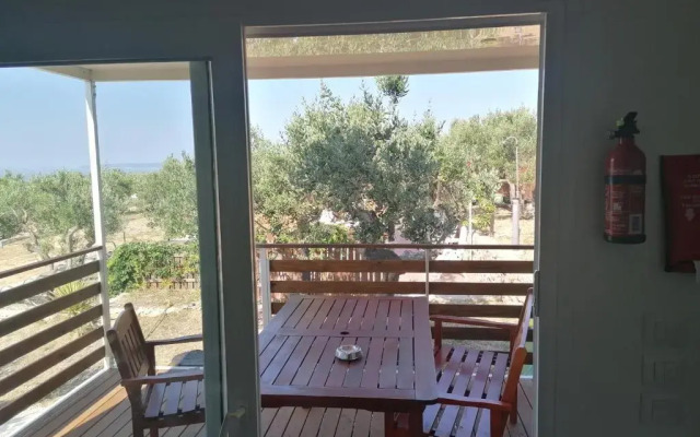 Camp Kopito