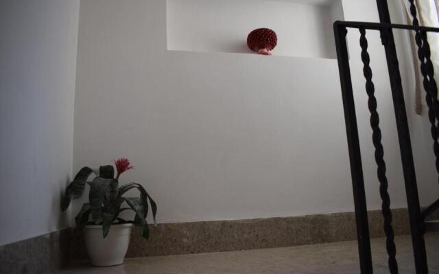 Ponente & Maestro B&B