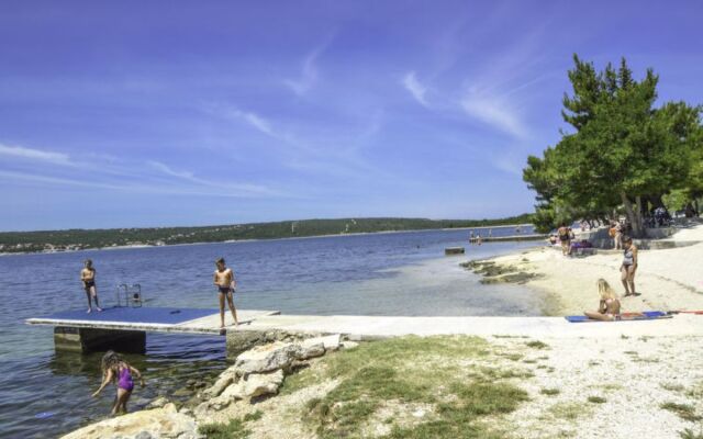 Apartment Amadea Novigrad (Zadar) 41664
