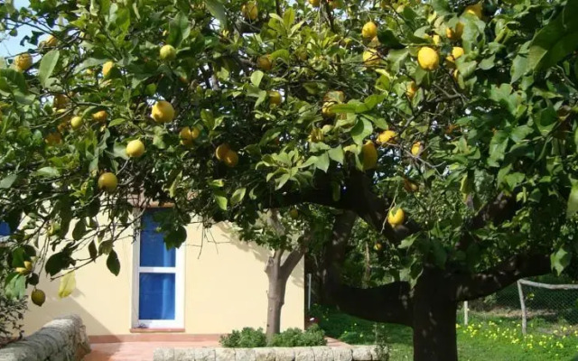 Il Limoneto