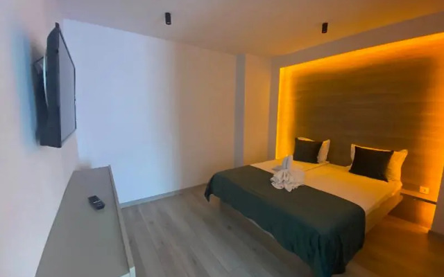 Vila Ursul Negru