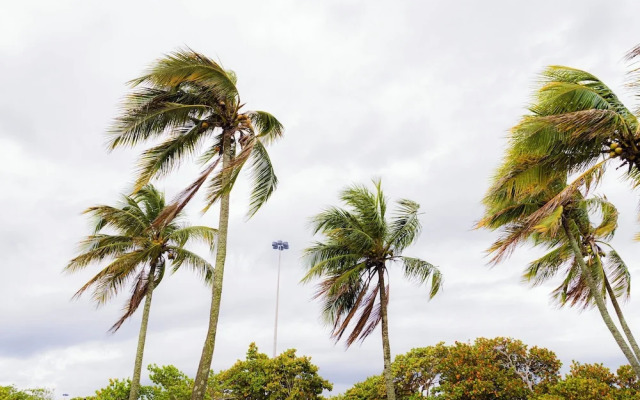SUH Flamengo 08 Live in Aterro