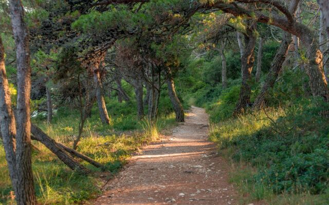 Sea View Terrace Palma