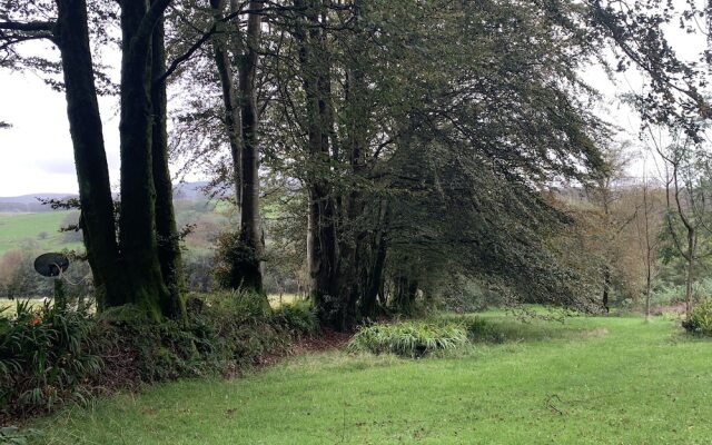 Ascension in the Fields