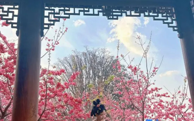 Jingxin Yayuan · Song-style Aesthetics National Style Courtyard – Outside – Dali