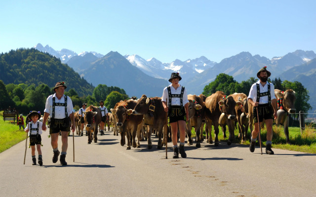 Best Western Plus Hotel Alpenhof