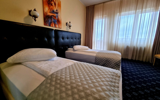 Hotel Coandi