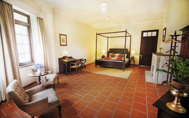 Dickoya by Zinc Journeys