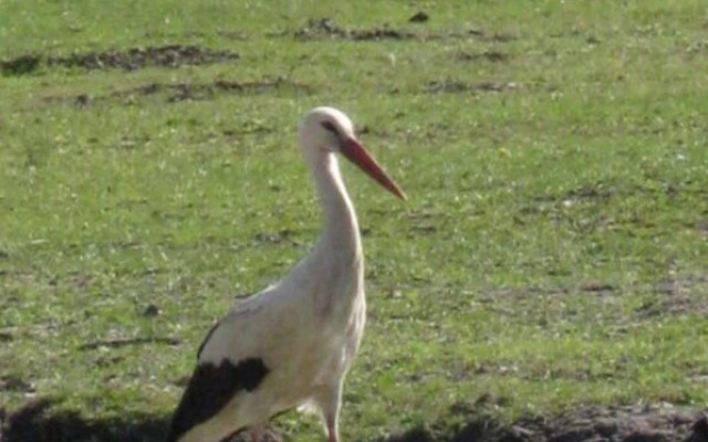 Spreewald Break Modern Retreat