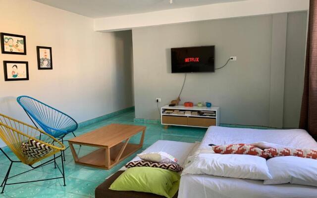 CoCo 2 Spacious Apartment Downtown with Garden