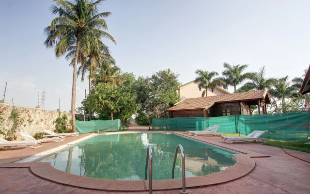 Palette - Krishna Heritage