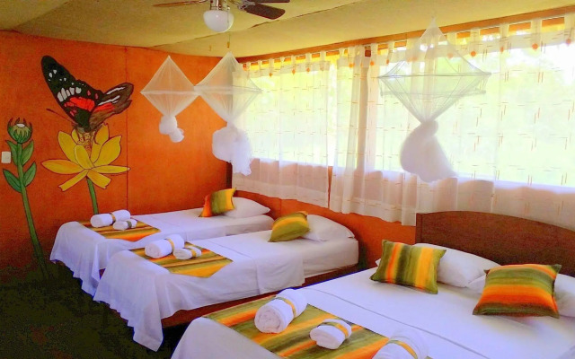 Avatar Amazon Lodge & Canopy Park