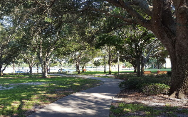 The Birchwood