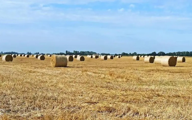 Hoeve Korenzegen. Oase van rust dichtbij strand
