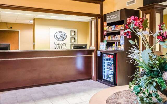 Comfort Suites Prestonsburg West