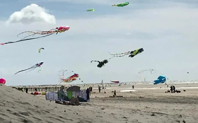 Logement cocooning 50 m de la plage