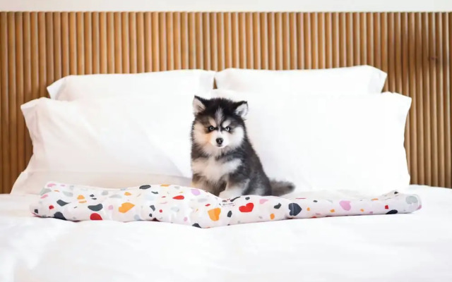 Mama Shelter Singapore