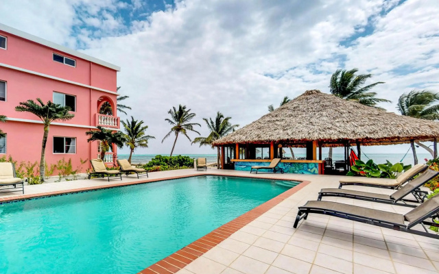 Saponaria 21-22 at Caribe Island Gold Standard Certified