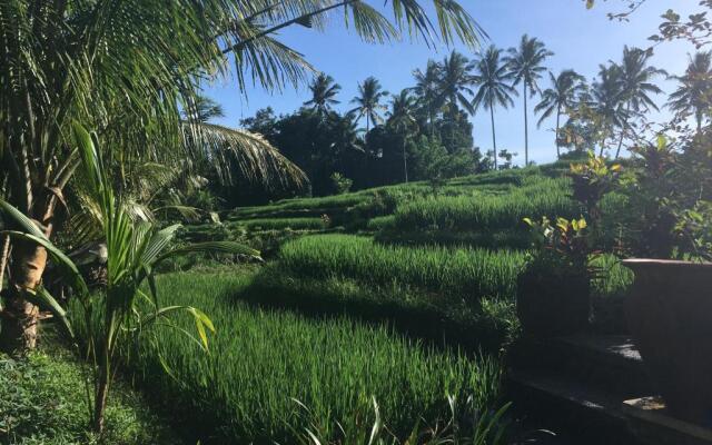 Puri Raya Villa Ubud