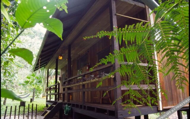 Hakuna Matata Lodge