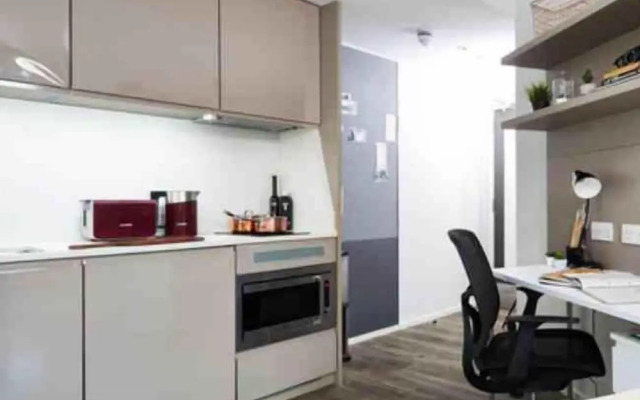 VITA Student-only Studio, Zed Alley