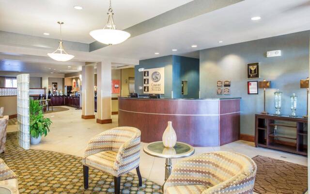 Comfort Suites McDonough Atlanta South