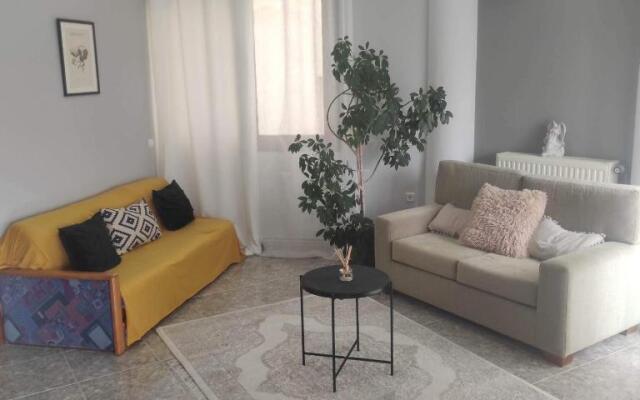 Panos Suite