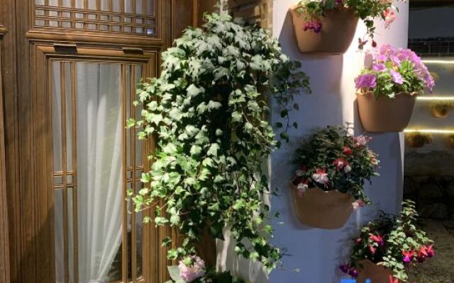 The Meow Blossom Inn (Lijiang Old Town)