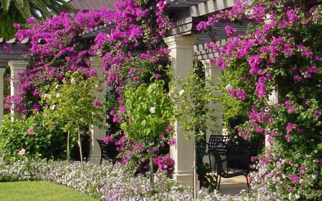 Designer Decorated Palm Beach Hotel NEW