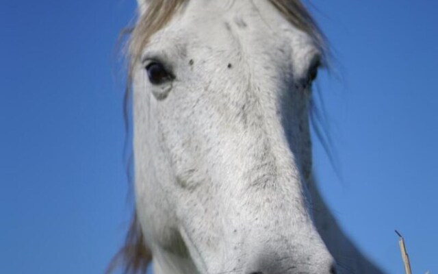 Saintes-maries-de-la-mer, 3 Rooms Close to Everything