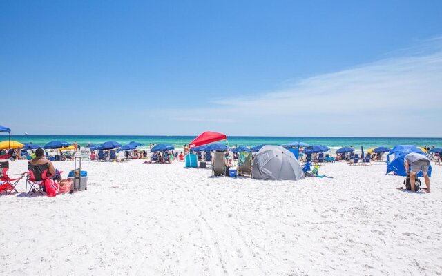 Sundestin #511