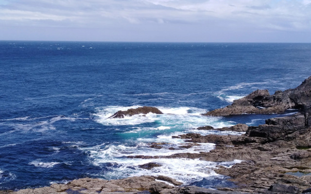 Madra Rua Organic Accommodation