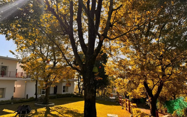 Himalayan Off Trails