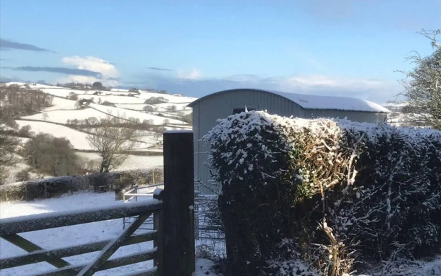 The Shepherds Hut at Hafoty Boeth