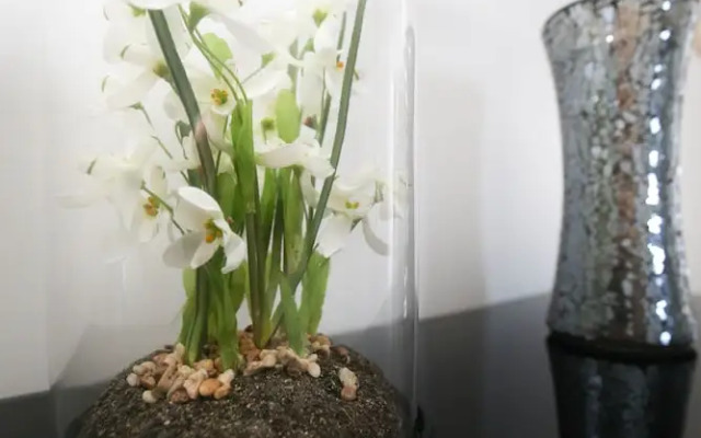 Week2Week Stunning 2 Bed Tynemouth Apartment