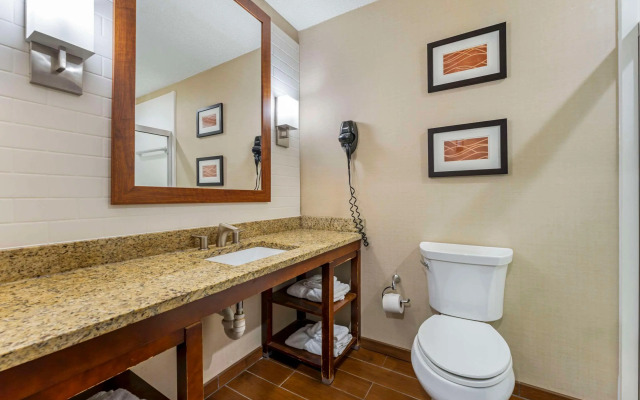 Comfort Inn & Suites Triadelphia - Wheeling