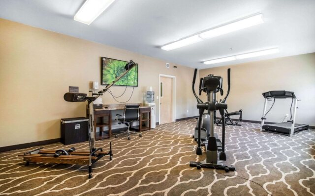 Comfort Inn Apalachin / Binghamton W Route 17