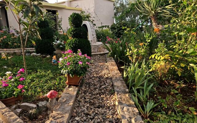 Mili - 50 m From Beach and Economical - A1